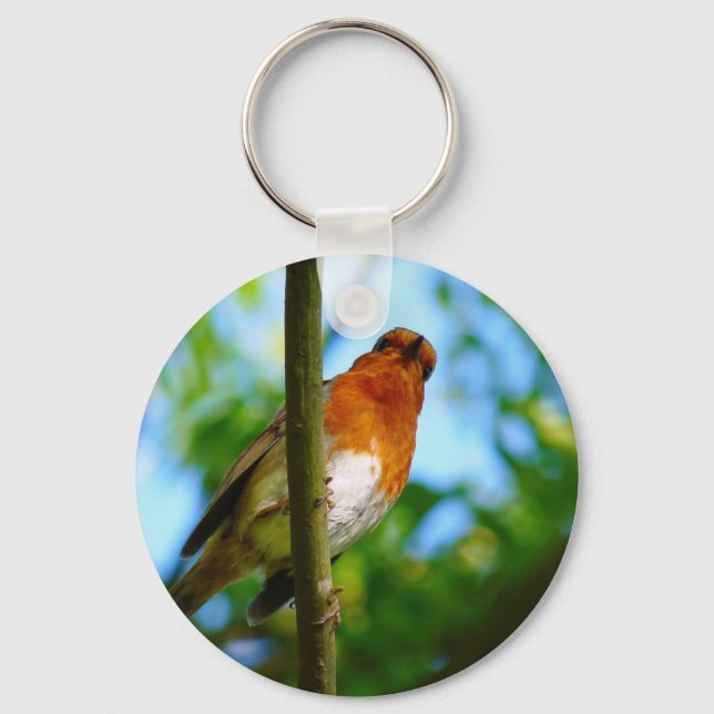 ROBINS NYCKELRING (Framsida)