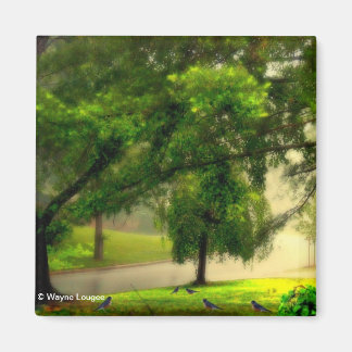 Robins på Gräsmatta Magnet