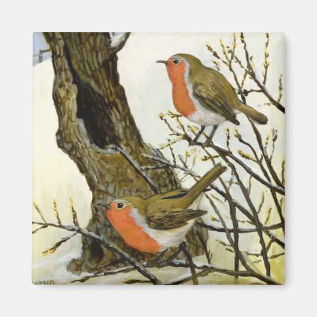 Robins par magnet (Framsidan)