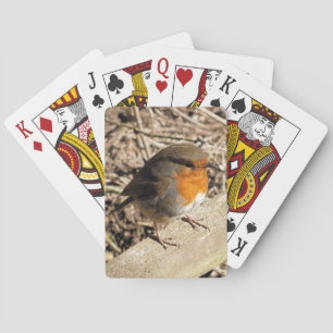 ROBINS SPELKORT