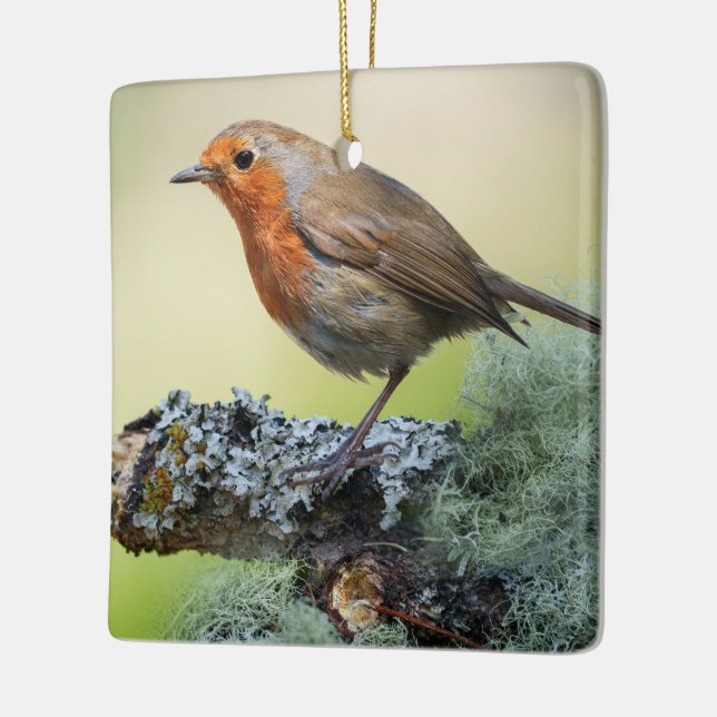 Robin's Woodland Perch Julgransprydnad Keramik (Vänster)