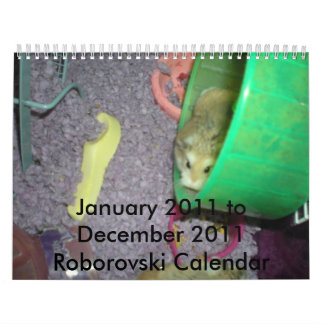 Roborovski 2011 kalender