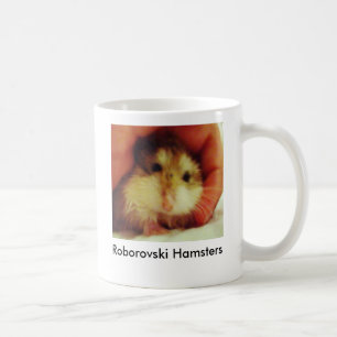 Roborovski Hamsters returnerar muggen Kaffemugg