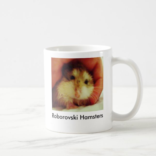 Roborovski Hamsters returnerar muggen Kaffemugg (Höger)