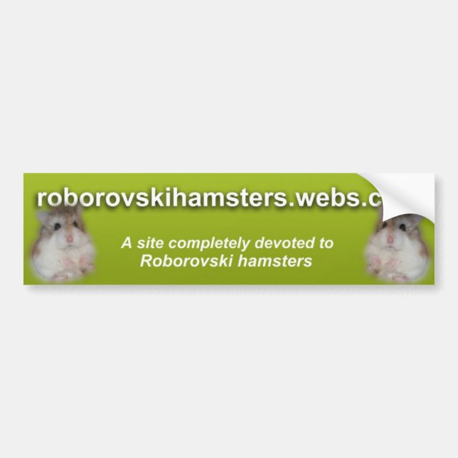 Roborovskihamsters - bildekal 2 (Framsidan)