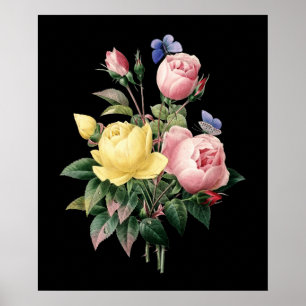 RobukettRedoute svart dramatisk bakgrund Poster
