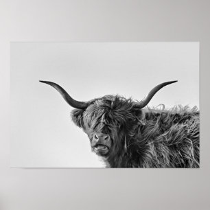 Robustt höglands- ko i monokrom poster