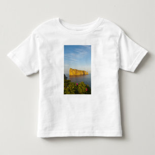 Rocher Perce (Perce-klippan), Quebec, Kanada. Tee