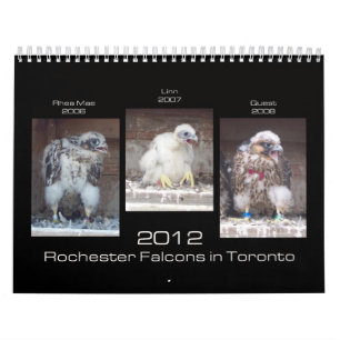 Rochester falkar 2012 i den Toronto kalendern Kalender