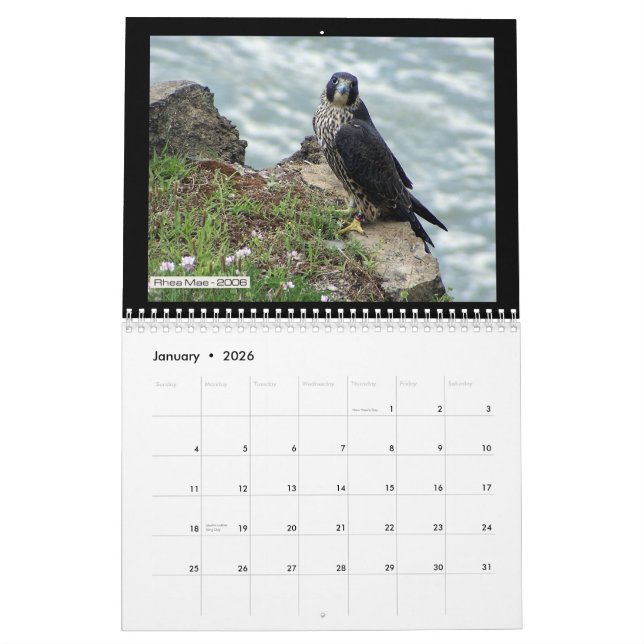 Rochester falkar 2012 i den Toronto kalendern Kalender (Jan 2026)