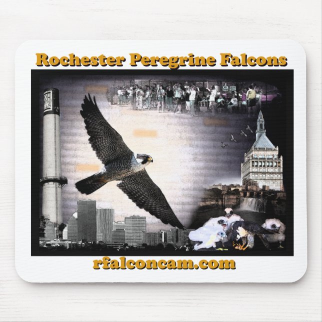 Rochester falkmousepad musmatta (Framsidan)