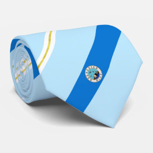 Rochester (Minnesota) City flagga Neck Tie Slips