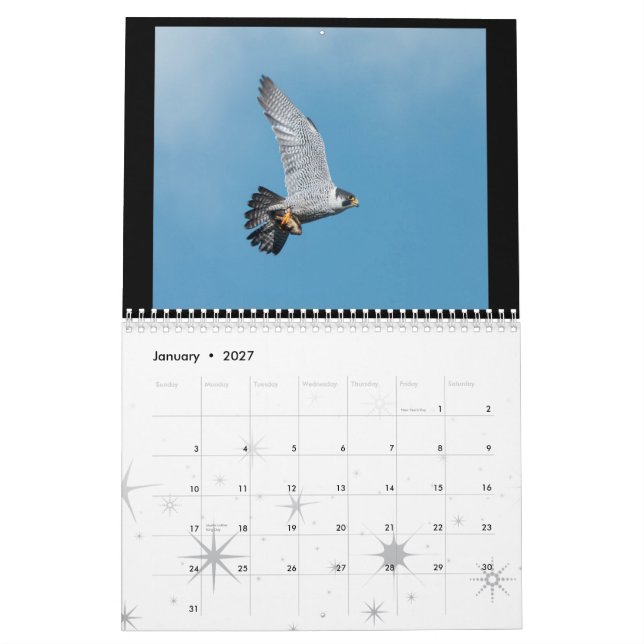 Rochester Peregrine falkkalender 2012 Kalender (Jan 2027)