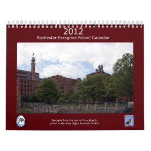 Rochester Peregrine falkkalender 2012 Kalender