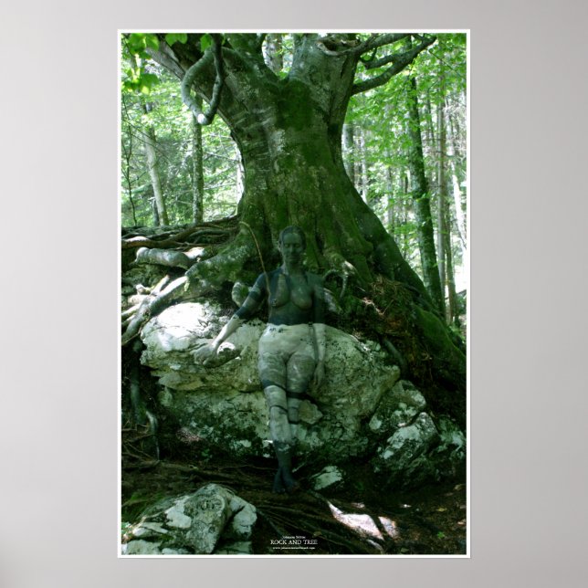 Rock and Tree by Johannes Stötter Poster (Framsidan)