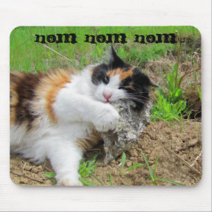 Rock Nom Kattmat Musmatta