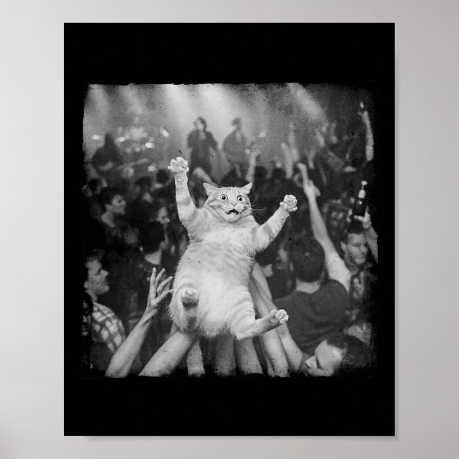 Rock Show Cat Meme Funny Humor Tabby Cat Crowd Sur Poster (Framsidan)