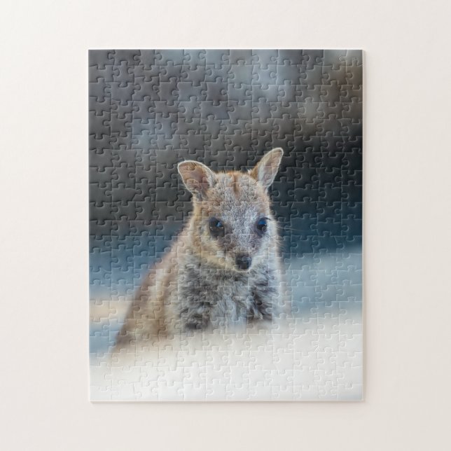 Rock Wallaby Joey Portrait – Australian Wildlife  Pussel (Vertikal)