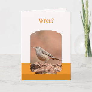 Rock Wren Falt Födelsedagskort Kort