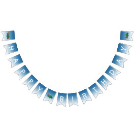 Rocket Turtle Vimplar