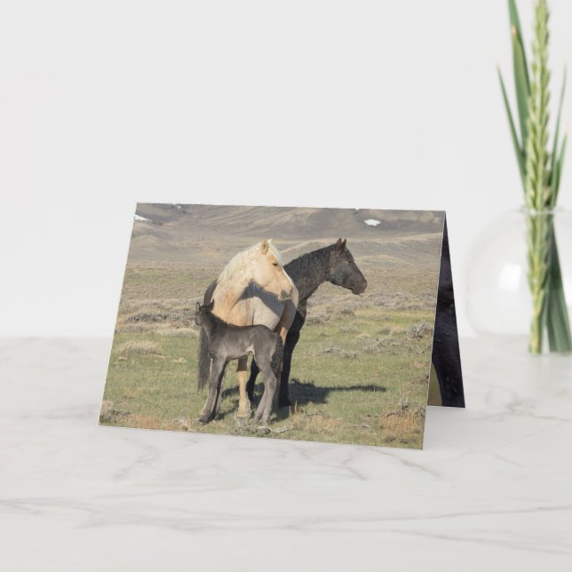 Rocket's Family Greeting Card Inbjudan (Framsida)