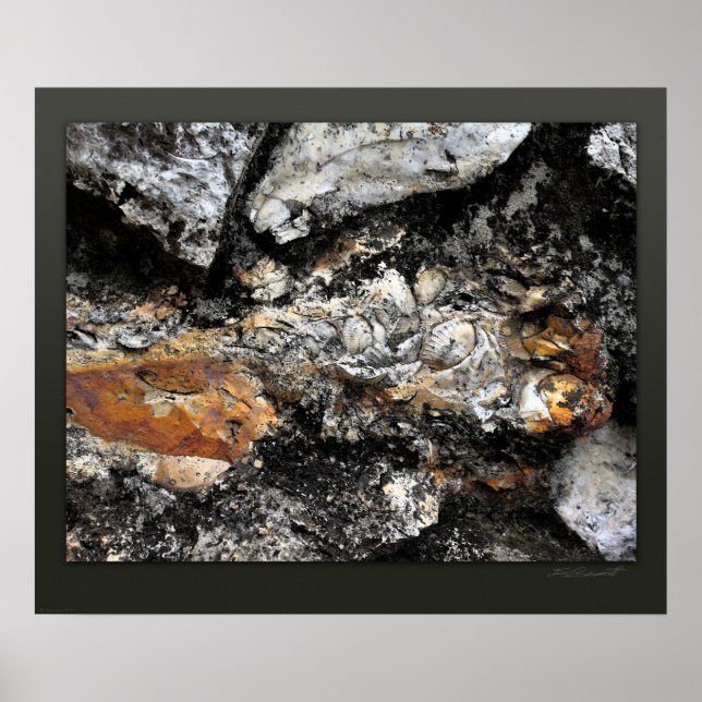 Rockface 118 Art Print -24x20 -andra storlekar ock Poster (Framsidan)
