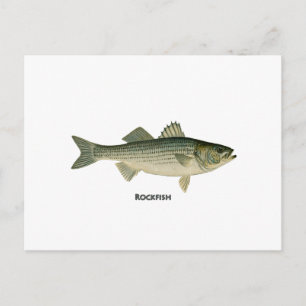 Rockfish Logotyp Vykort