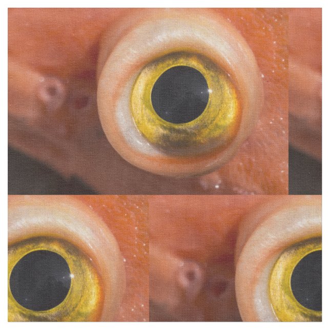 Rockfish Öga Tyg (Närbild)
