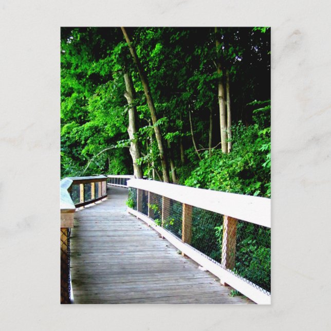 Rockford Michigan Walking Trail Vykort (Framsida)