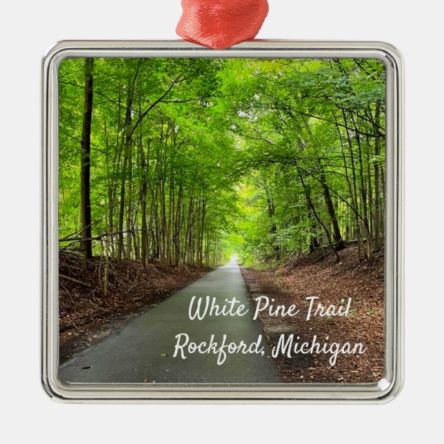 Rockford Michigan White Gräs Walking Trail Julgransprydnad Metall (Framsidan)