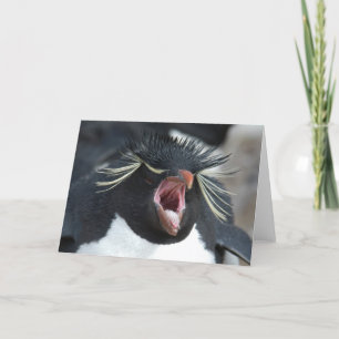 Rockhopper gäspning kort
