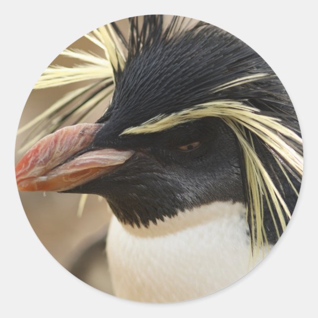Rockhopper Penguin Stickers Runt Klistermärke (Framsida)
