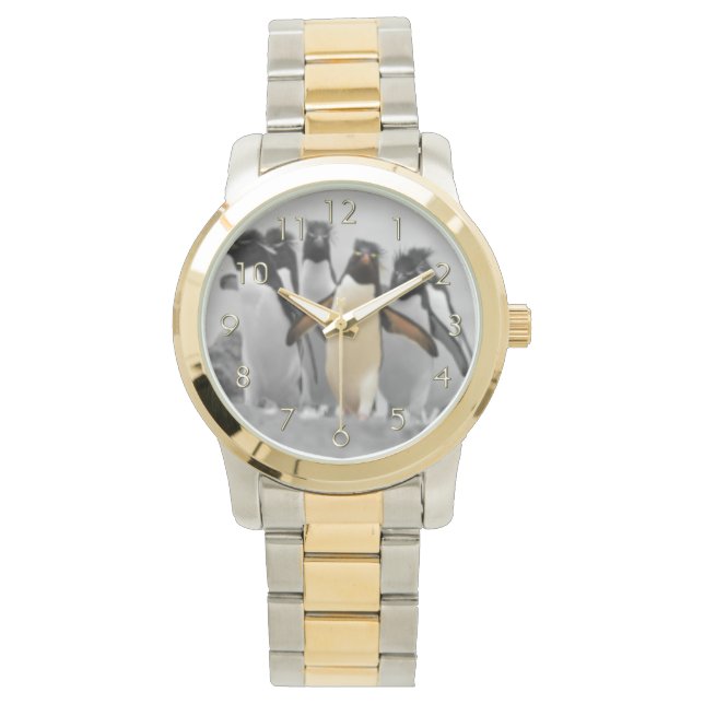 Rockhopper pingvin armbandsur (Framsida)