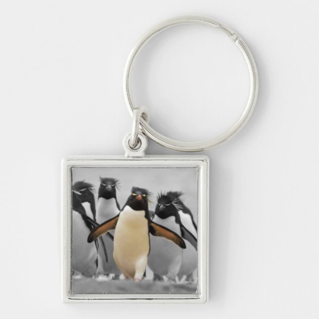 Rockhopper pingvin fyrkantig silverfärgad nyckelring (Framsidan)