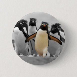 Rockhopper pingvin knapp