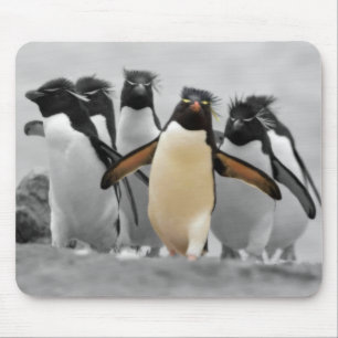 Rockhopper pingvin musmatta