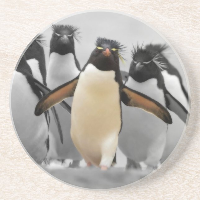 Rockhopper pingvin underlägg (Framsidan)