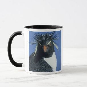 Rockhopperpingvin (Eudyptes chrysocome) Mugg