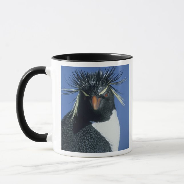 Rockhopperpingvin (Eudyptes chrysocome) Mugg (Vänster)