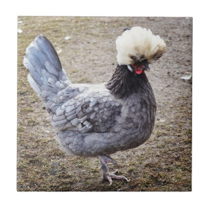 Rockin som Pompadourtuppen belägger med tegel Kakelplatta