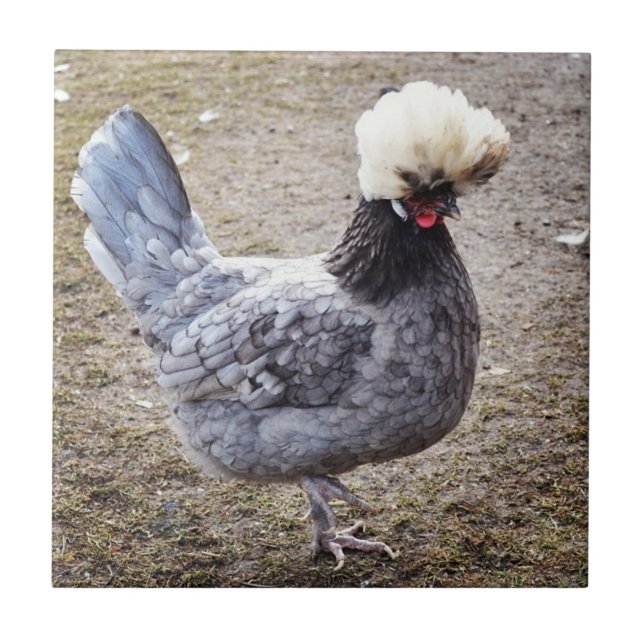 Rockin som Pompadourtuppen belägger med tegel Kakelplatta (Framsidan)