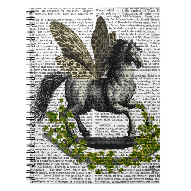 Rocking Horse Fly 2 Anteckningsbok Med Spiral (Framsidan)