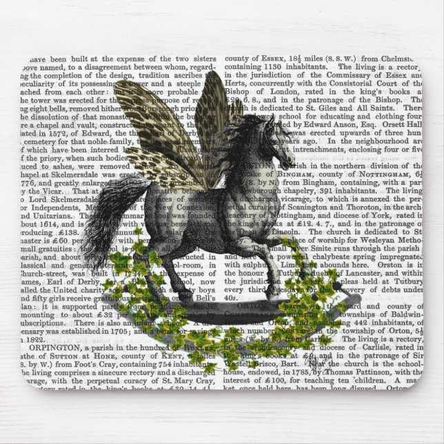 Rocking Horse Fly 2 Musmatta (Framsidan)