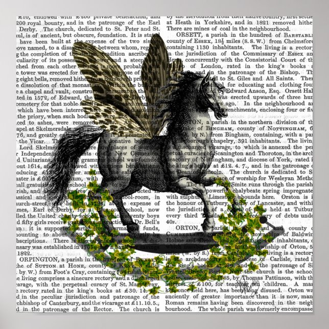 Rocking Horse Fly Poster (Framsidan)