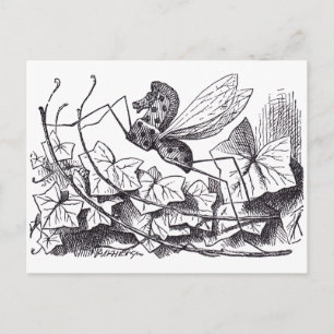 Rocking Horse Fly Vykort
