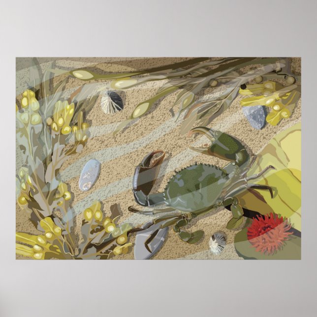 Rockpool Poster (Framsidan)