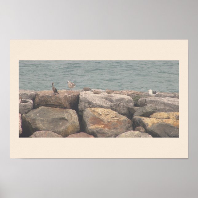 Rocks with Birds Ocean Waterscape Poster (Framsidan)