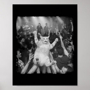 Rockshow Katt Meme Roligt Humor Tabby Katt Publik Poster