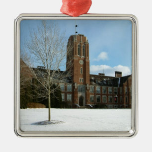 Rockwell in Winter at Grove City College Julgransprydnad Metall