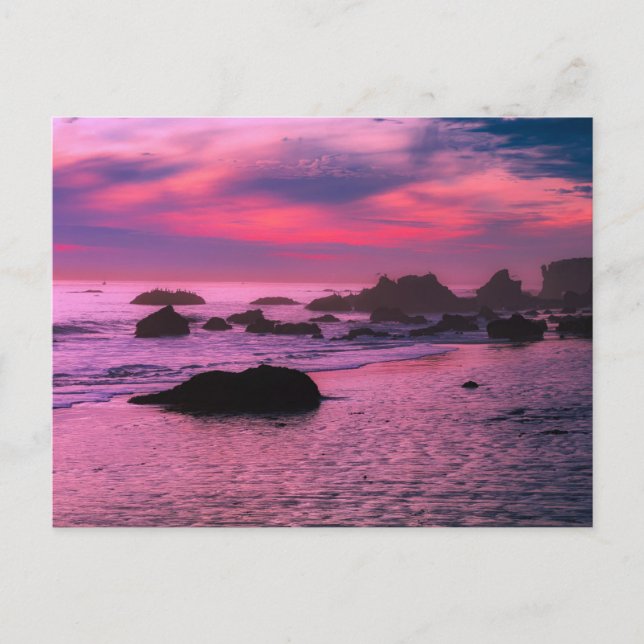 Rocky Beach med rosa- och lila sunset Post Card Vykort (Framsida)